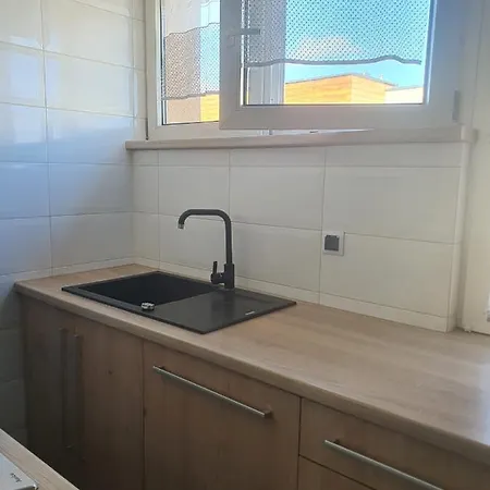 Duzy Apartament Zielone Centrum Miasta 公寓 *