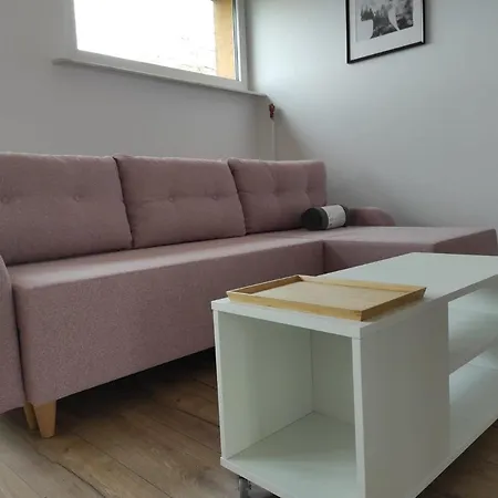 Duzy Apartament Zielone Centrum Miasta * 拉多姆
