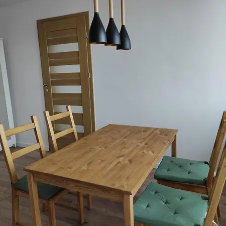 Duzy Apartament Zielone Centrum Miasta 拉多姆
